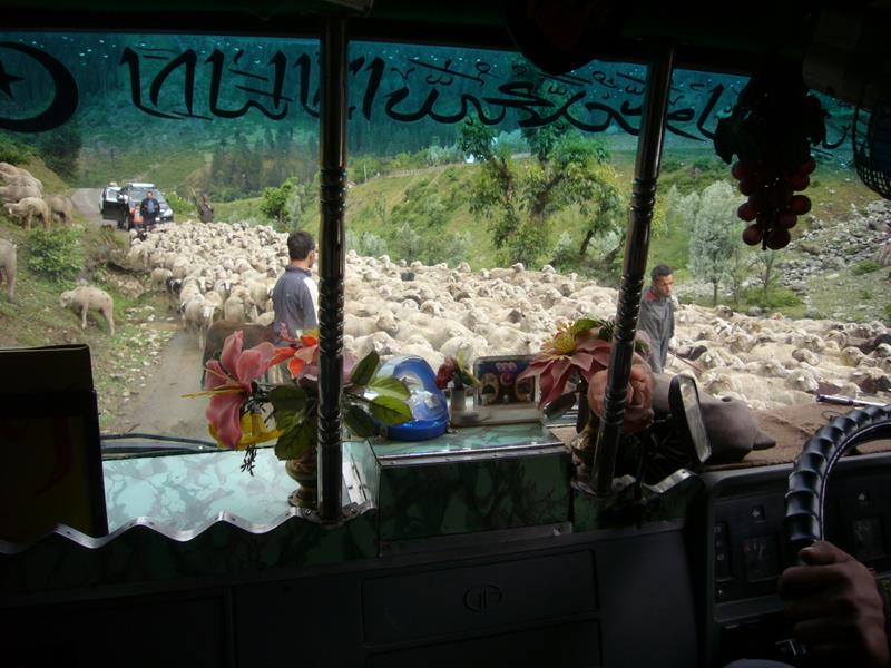 Travel - India - Kashmir - Aru - Bus To Pahalgam